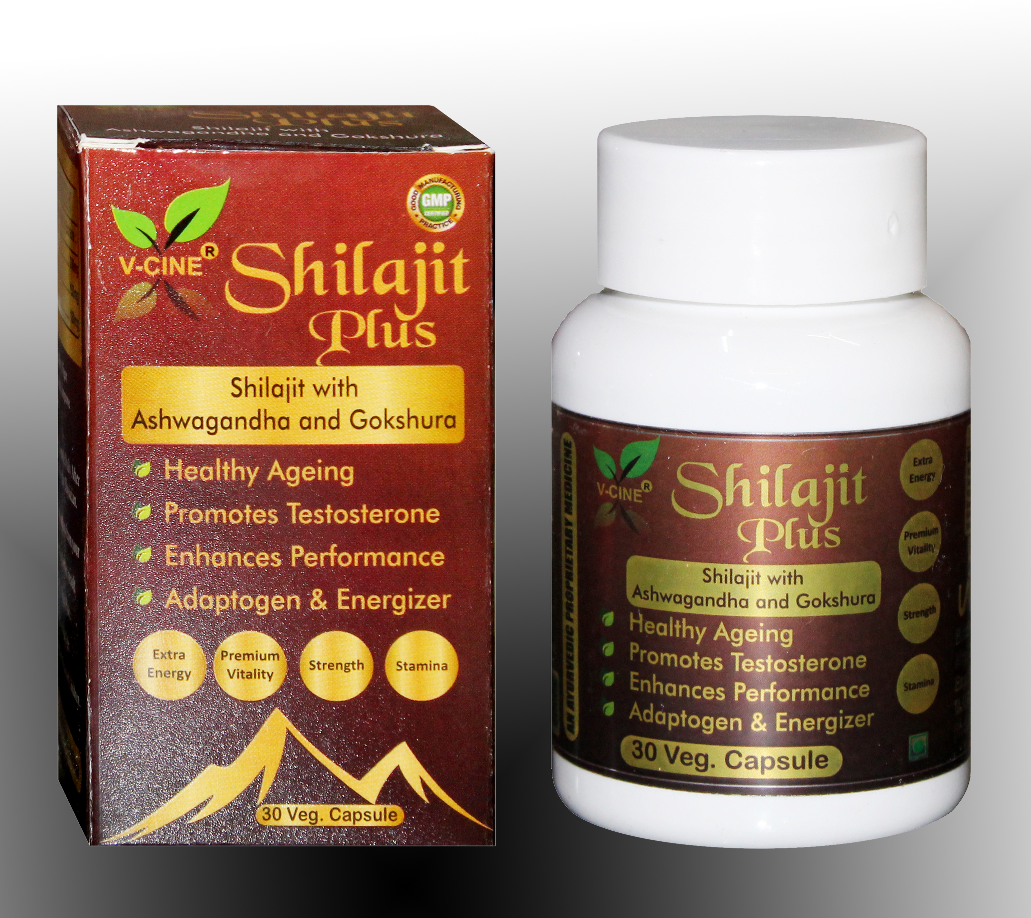 Shilajit Plus